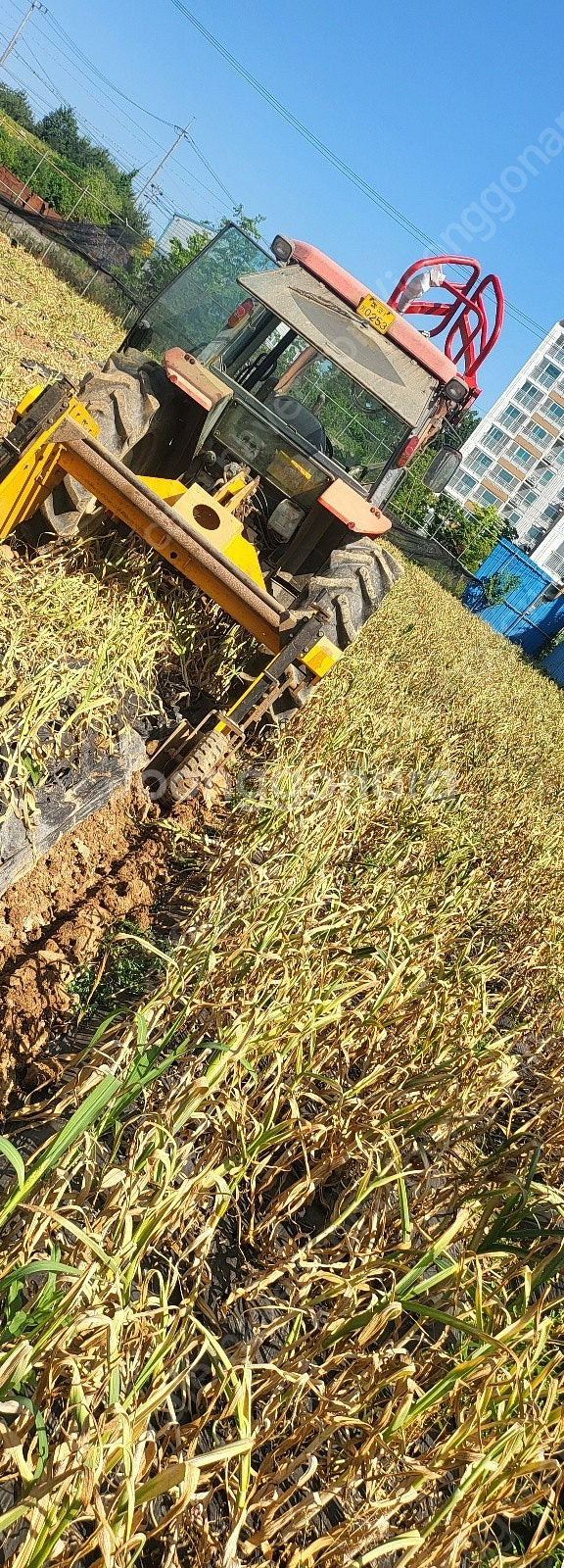땅속작물수확기 / 마늘수확기 / 뿌리식물 수확기--2